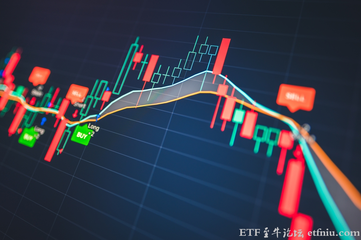 近十年平均股息率超5%的股票,高股息股票排名前十名一览表