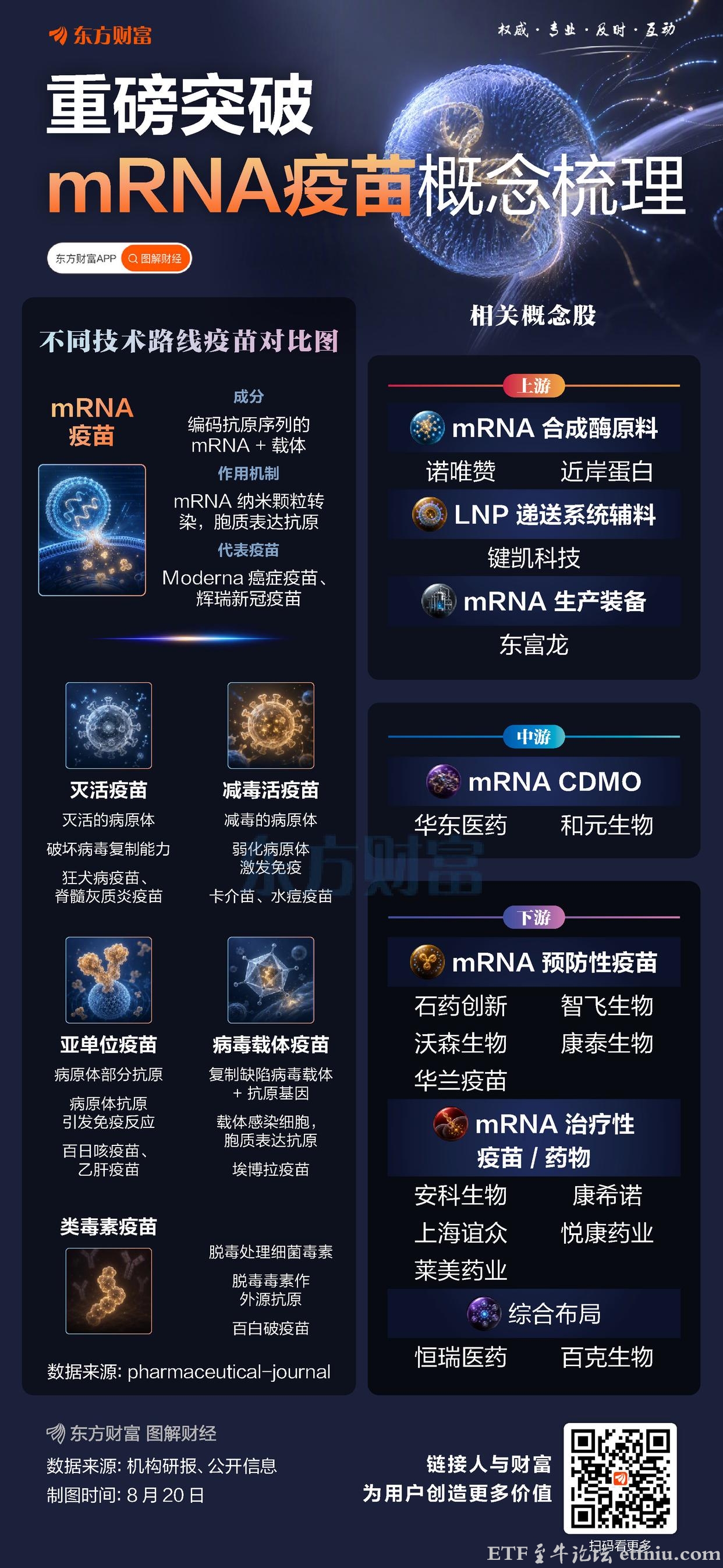 肿瘤疫苗历史性突破引爆医药行情,mRNA疫苗概念股梳理